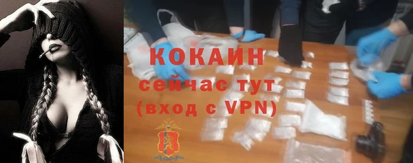гашик Белокуриха