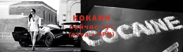 гашик Белокуриха