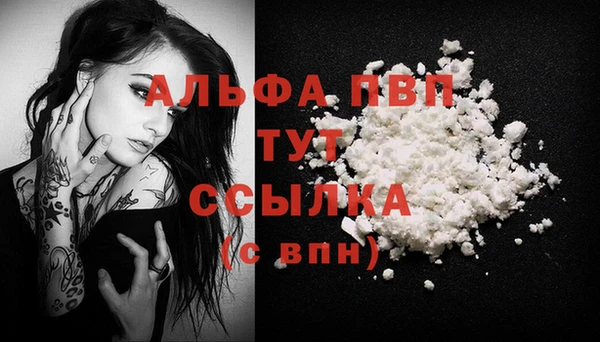 гашик Белокуриха